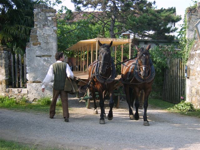 EDA 1 Jeremišče 90 eda_1_jeremitie_090.jpg